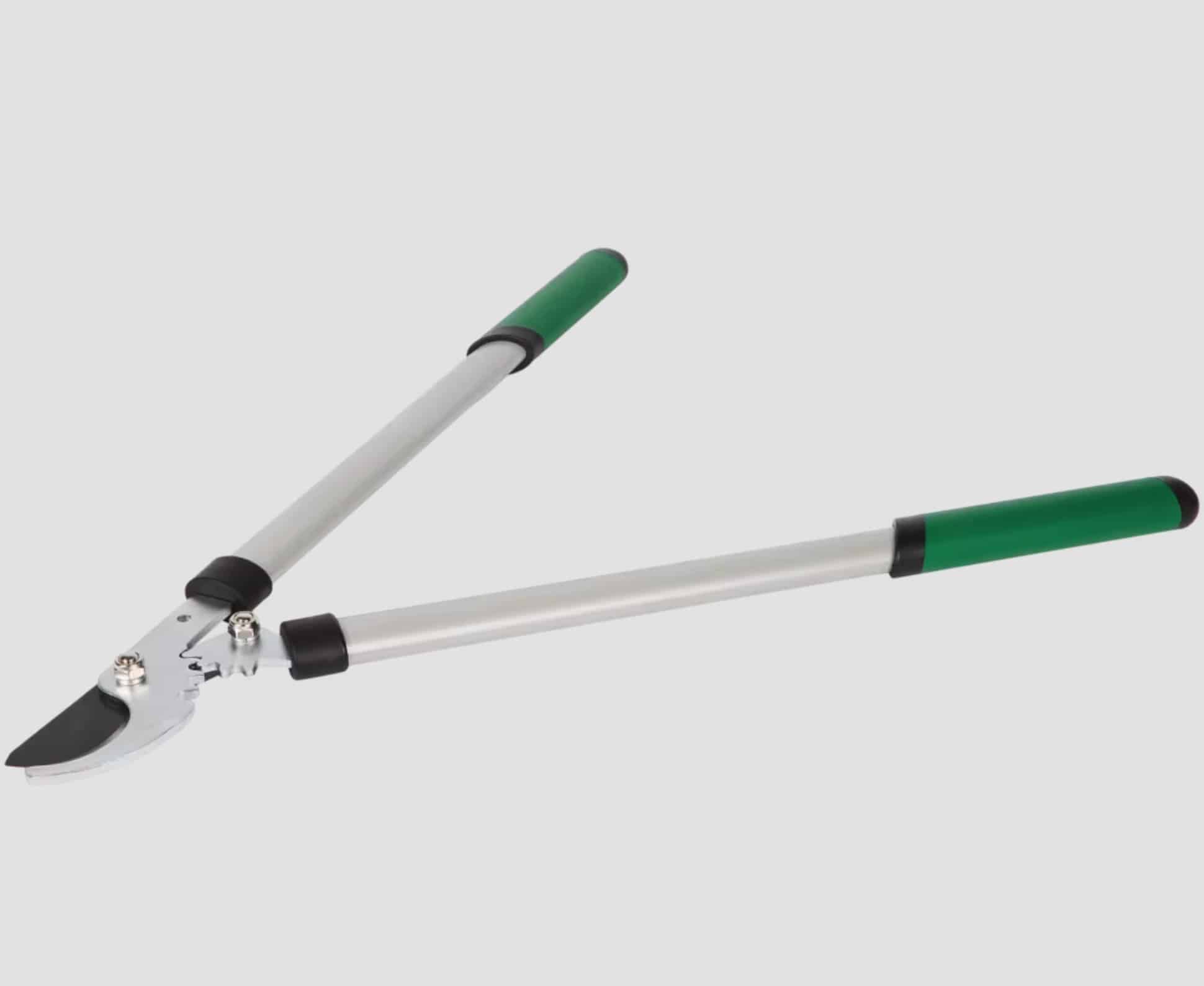 De telescopische takkenzaag d